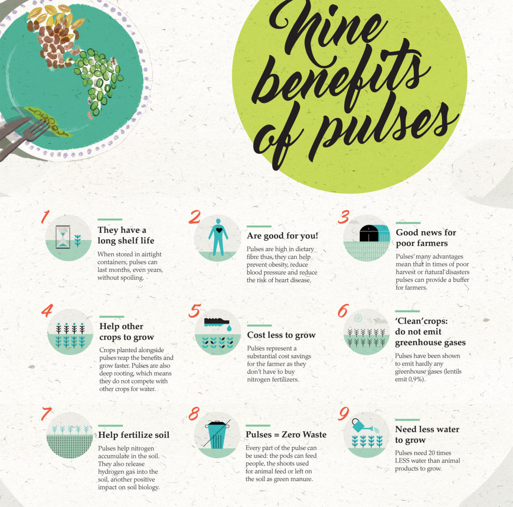 Pulses 9 benefits